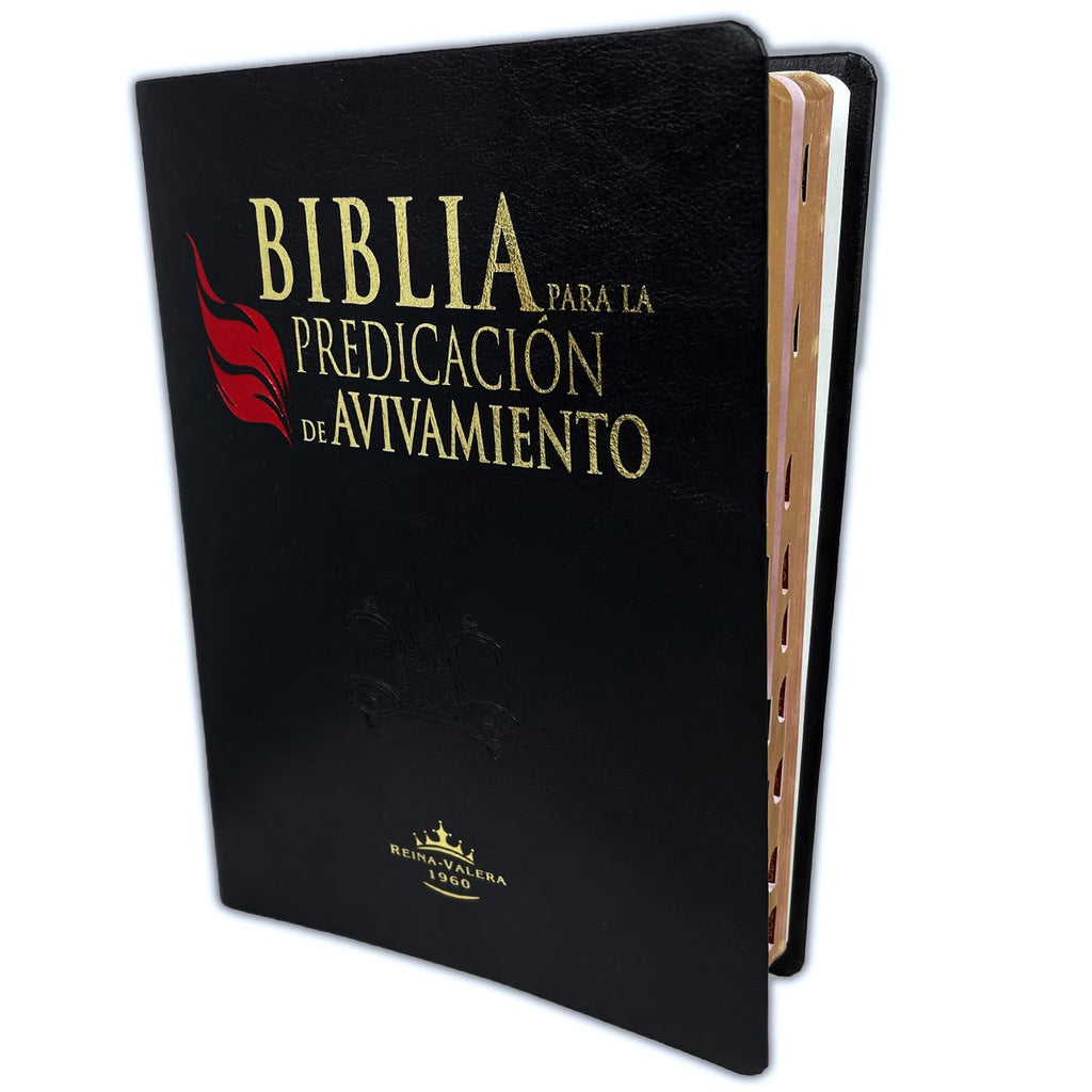 Study Bible - In-Depth Scripture for Daily Devotion