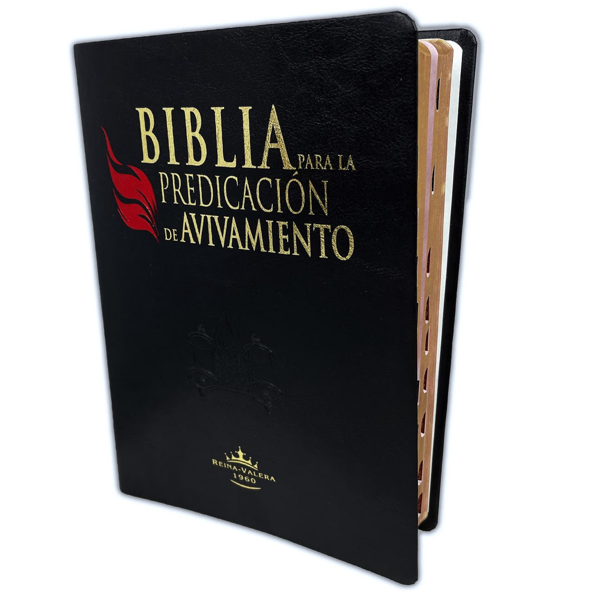 Study Bible - In-Depth Scripture for Daily Devotion