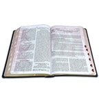 Study Bible - In-Depth Scripture for Daily Devotion