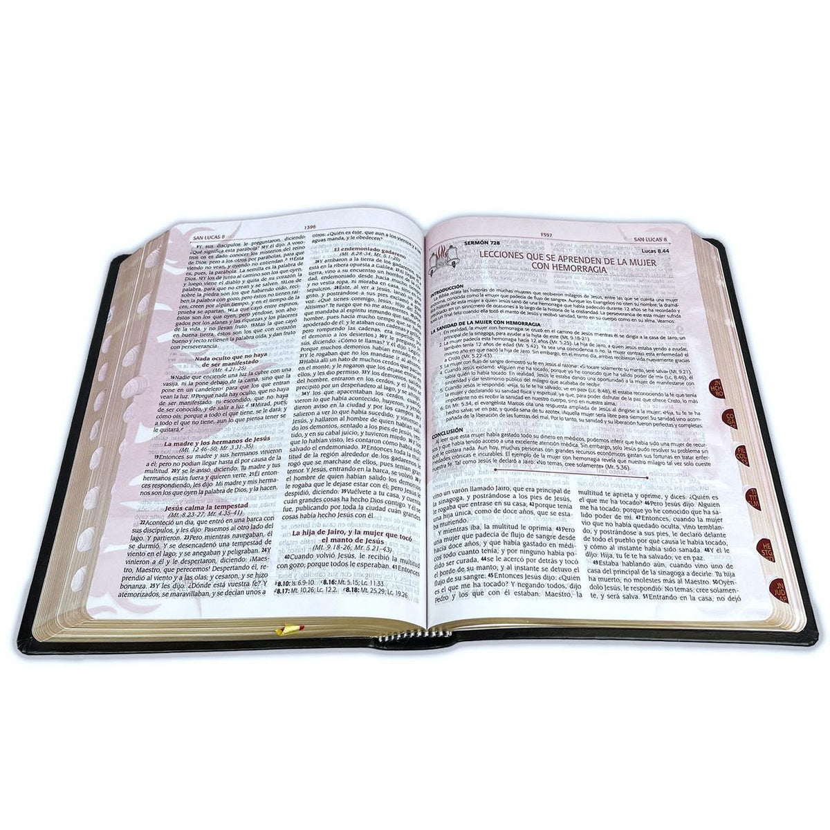 Study Bible - In-Depth Scripture for Daily Devotion